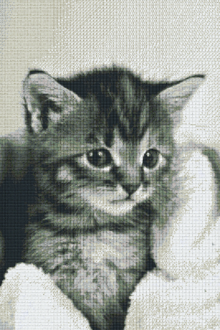 Kitten Thirty [30] Baseplate PixelHobby Mini-mosaic Art Kit image 0